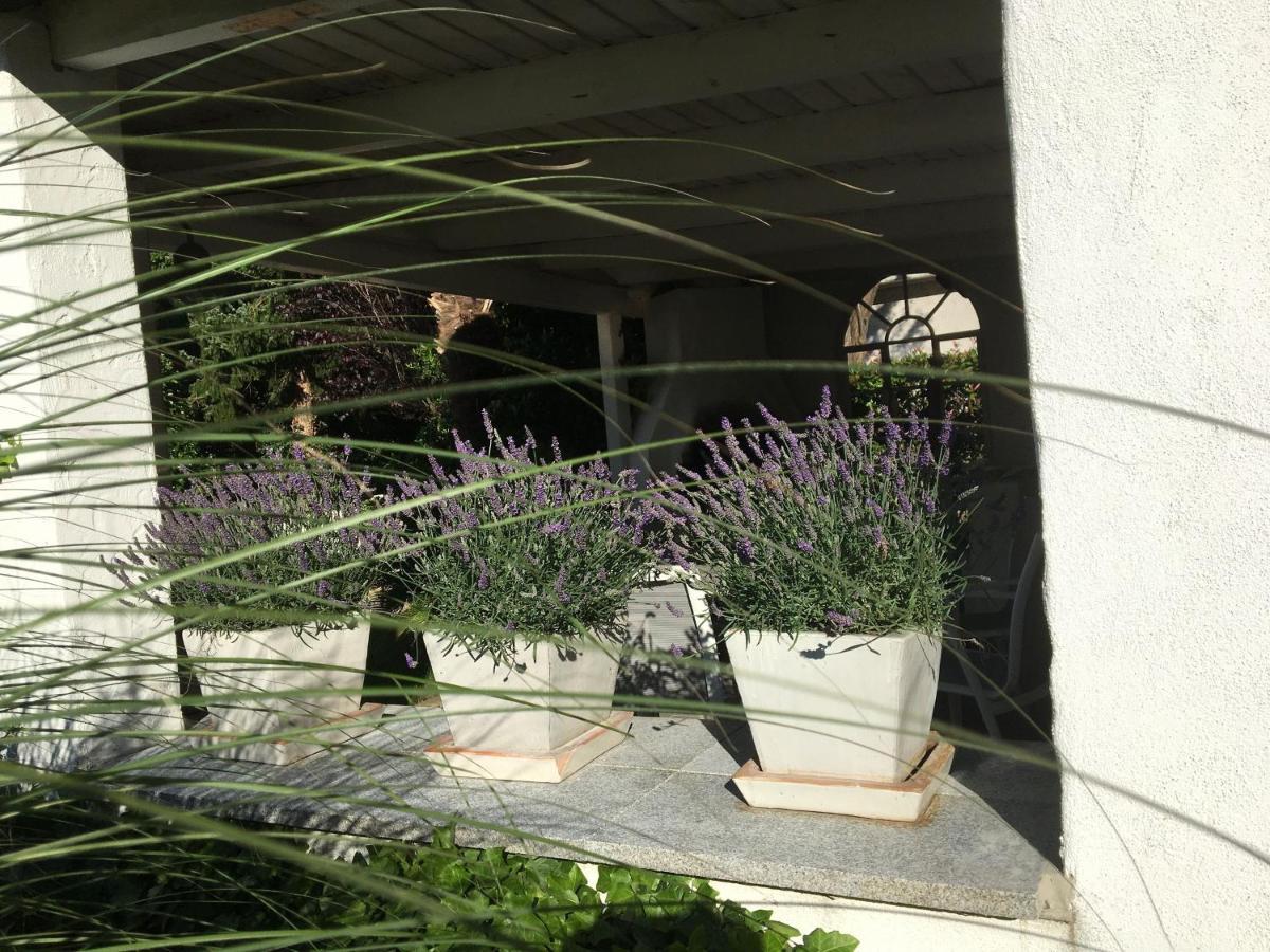 ריינפלדן Ferienwohnung Dashaus מראה חיצוני תמונה